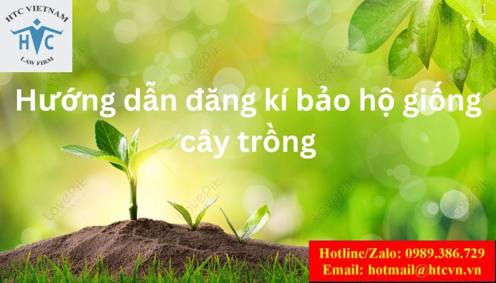 HƯỚNG DẪN CHI TIẾT ĐĂNG KÍ BẢO HỘ GIỐNG CÂY TRỒNG MỚI